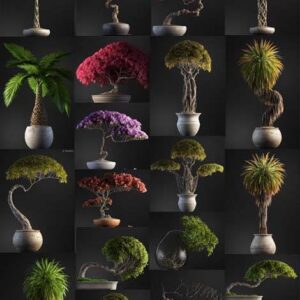 CÂY (file Proxy)-01