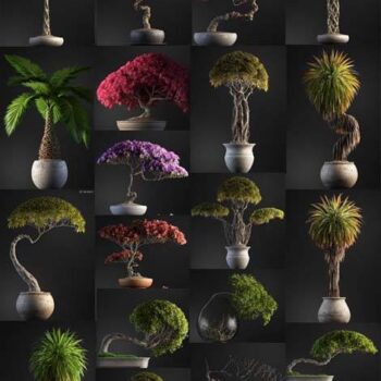 CÂY (file Proxy)-01