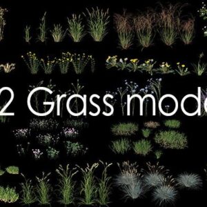 CÂY (file Proxy)-03