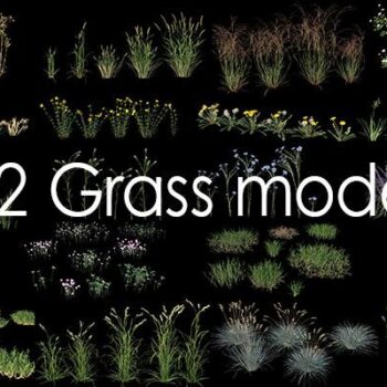 CÂY (file Proxy)-03