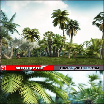 3d Palm Trees Sketchup Models – Free Download