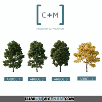 Trees Proxy Sketchup Models