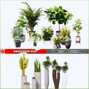 3d Plant Sketchup Models - Free Download