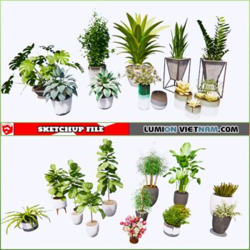 3d Plant Sketchup Models - Free Download