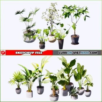 3d Plant Sketchup Models - Free Download