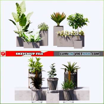 3d Plant Sketchup Models - Free Download