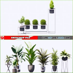 3d Plant Sketchup Models - Free Download