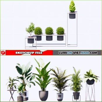 3d Plant Sketchup Models - Free Download