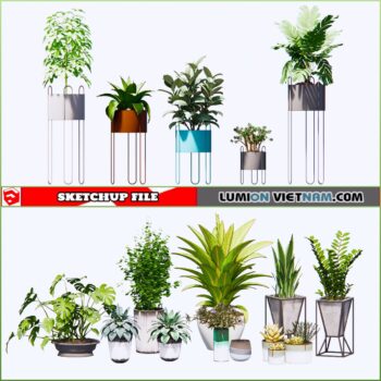 3d Plant Sketchup Models - Free Download