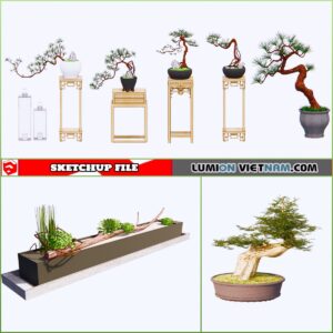 3d Plant Sketchup Models - Free Download