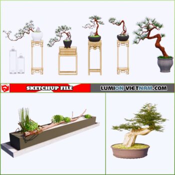3d Plant Sketchup Models - Free Download