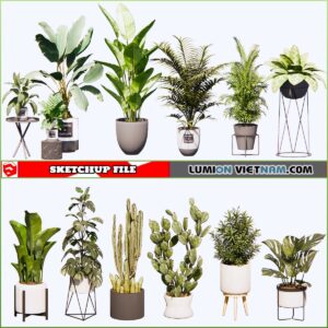 3d Plant Sketchup Models - Free Download