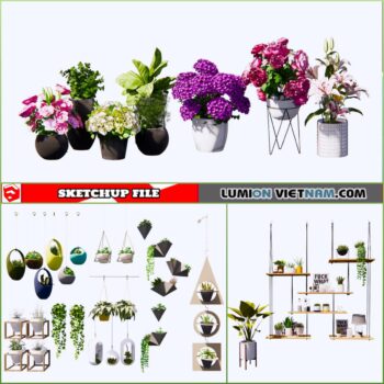 3d Plant Sketchup Models - Free Download