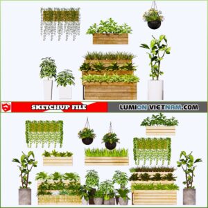 3d Plant Sketchup Models - Free Download
