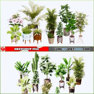 3d Plant Sketchup Models - Free Download