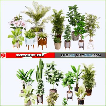 3d Plant Sketchup Models - Free Download