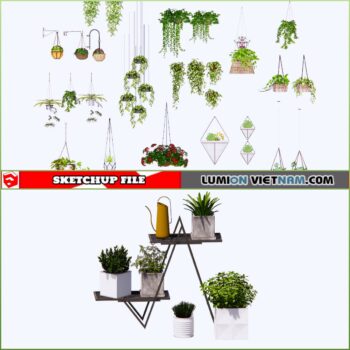 3d Plant Sketchup Models - Free Download