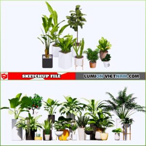 3d Plant Sketchup Models - Free Download