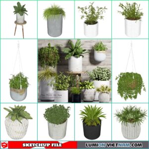 3d Plant Sketchup Models - Free Download