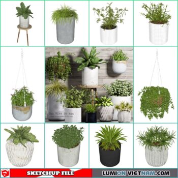 3d Plant Sketchup Models - Free Download