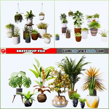 3d Plant Sketchup Models - Free Download