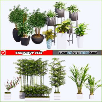 3d Plant Sketchup Models - Free Download