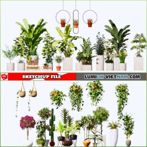 3d Plant Sketchup Models - Free Download