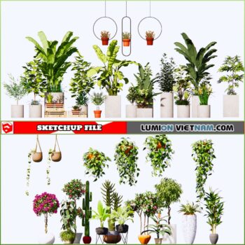 3d Plant Sketchup Models - Free Download