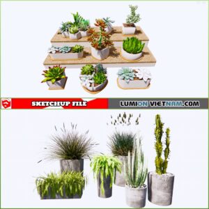 3d Plant Sketchup Models - Free Download