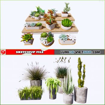 3d Plant Sketchup Models - Free Download