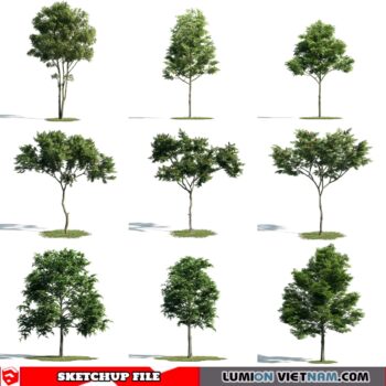 3d Trees Sketchup Models - Free Download