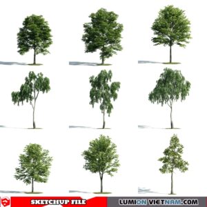 3d Trees Sketchup Models - Free Download
