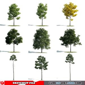 3d Trees Sketchup Models - Free Download