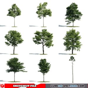 3d Trees Sketchup Models - Free Download