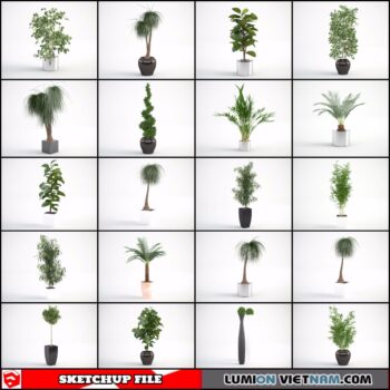 3d Plant Sketchup Models - Free Download