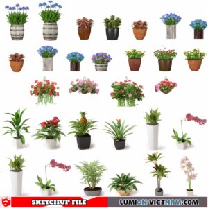 3d Pot Flowers Sketchup Models - Free Download
