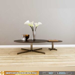 SKETCHUP-ENSCAPE MODEL