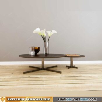 SKETCHUP-ENSCAPE MODEL