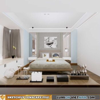 SKETCHUP-ENSCAPE MODEL