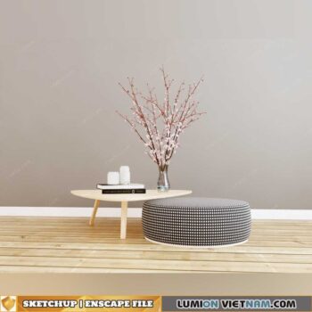 SKETCHUP-ENSCAPE MODEL