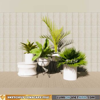 SKETCHUP-ENSCAPE MODEL