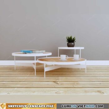 SKETCHUP-ENSCAPE MODEL