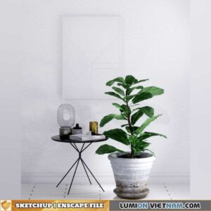 SKETCHUP-ENSCAPE MODEL