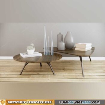 SKETCHUP-ENSCAPE MODEL