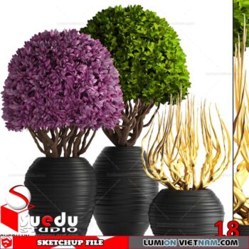 Bonsai Tree By Suedu Sketchup Model