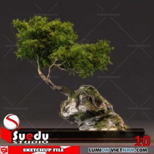 Bonsai Tree By Suedu Sketchup Model