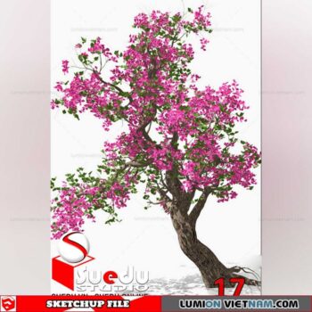 Bonsai Tree By Suedu Sketchup Model