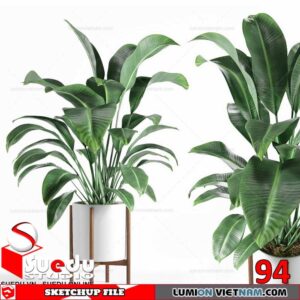 Plant By Suedu Sketchup Model