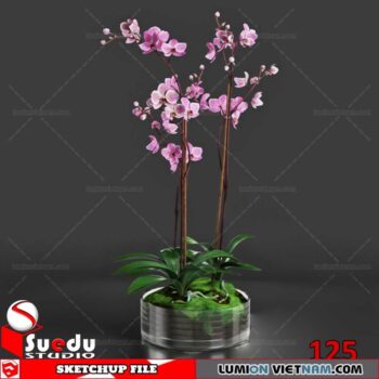 Plant By Suedu Sketchup Model