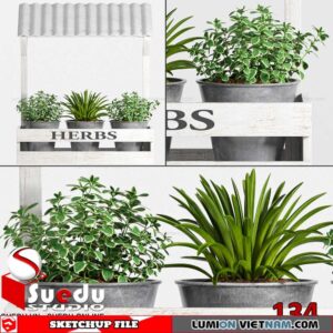 Plant By Suedu Sketchup Model